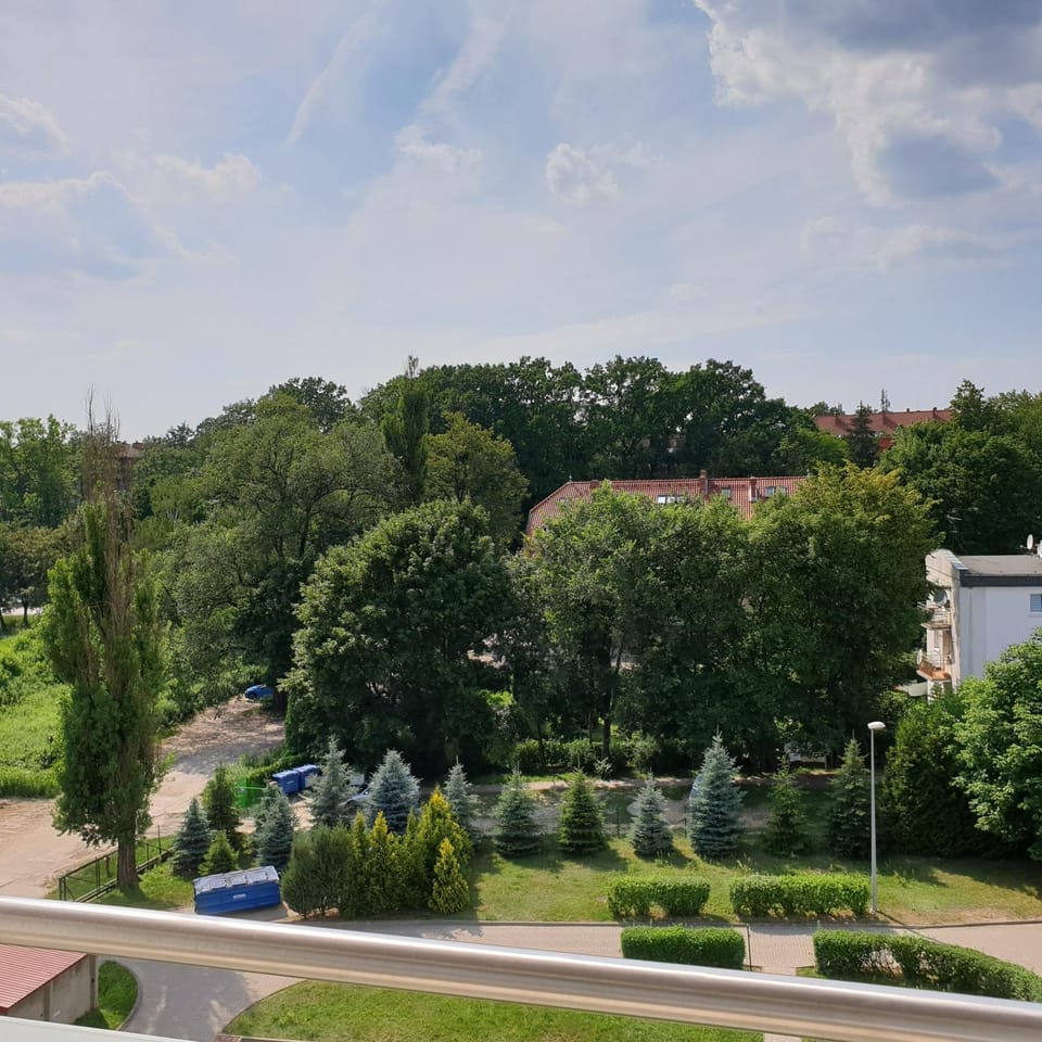 Balcony/Terrace, Garden view