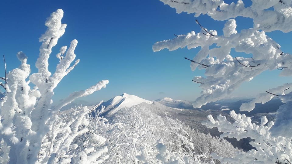 Natural landscape, Winter