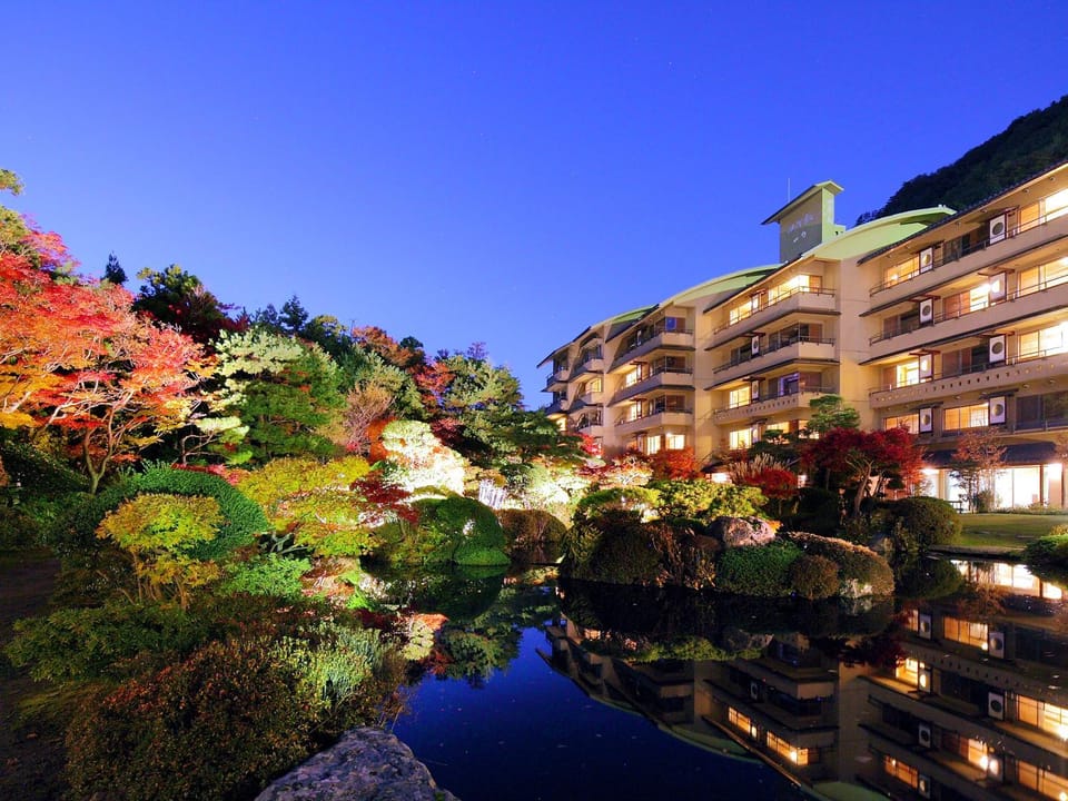 Garden, Autumn, On site, Garden view, Sunset