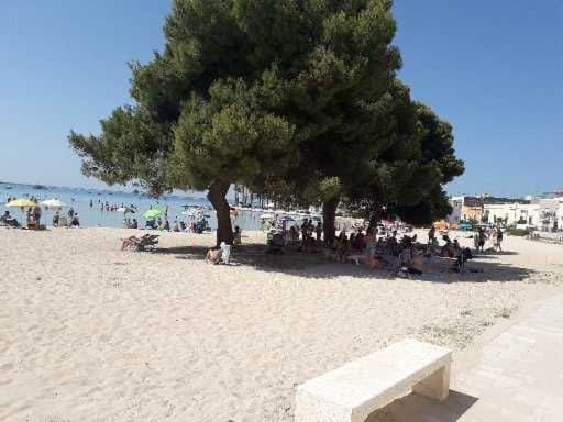 Nearby landmark, Beach