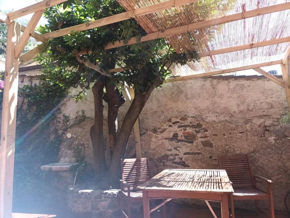 Fontantica di Vernazza Apartment in Vernazza