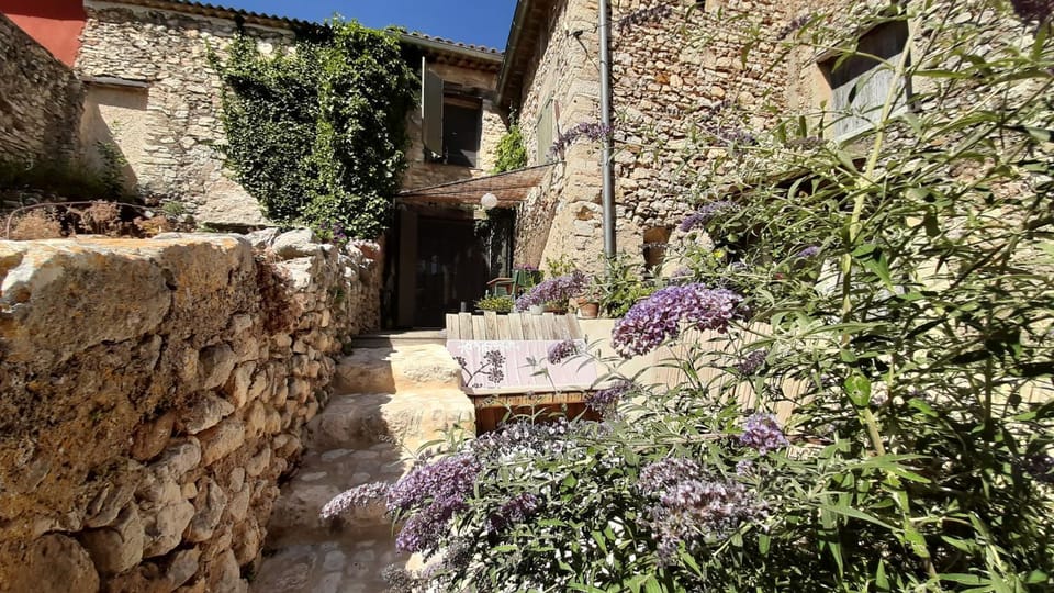 Property building, Garden, Garden view