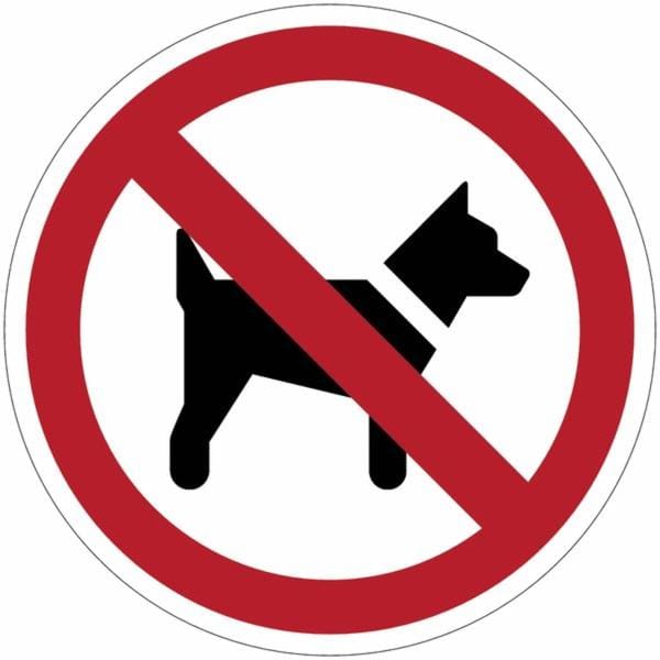 Text overlay, Pets