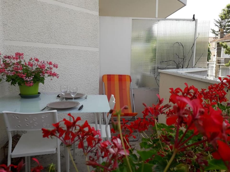 Patio, Balcony/Terrace