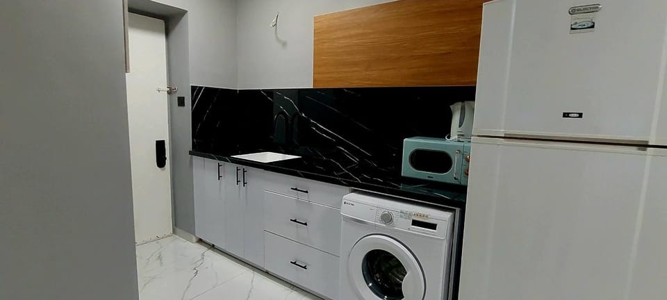 Kitchen or kitchenette, minibar, stove, washing machine