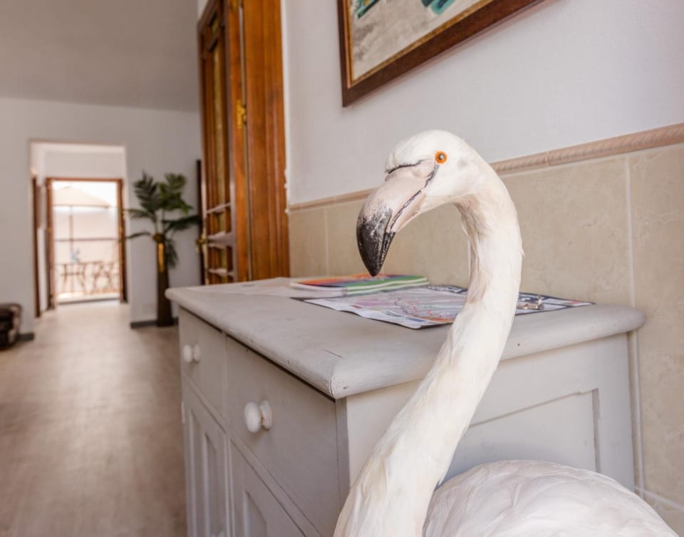 Facade/entrance, Animals