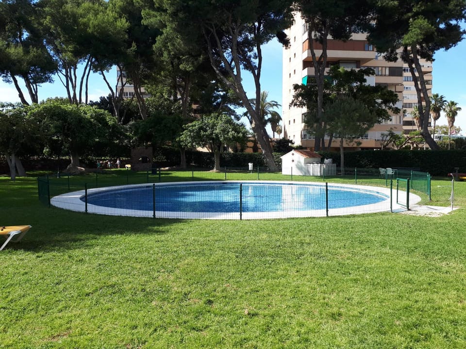 Swimming pool, Swimming pool