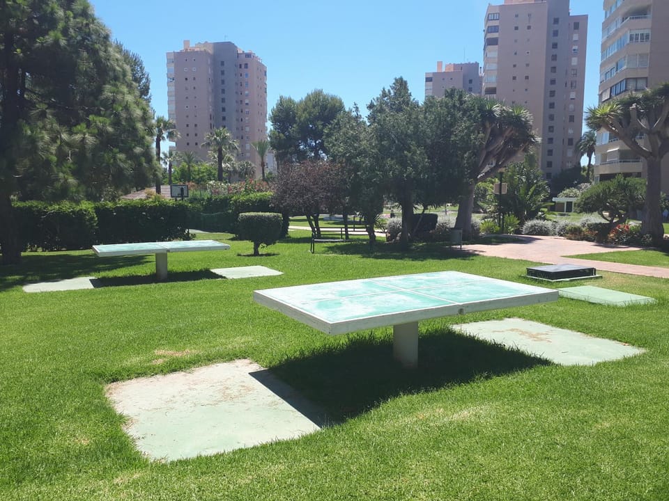 Garden, Table tennis