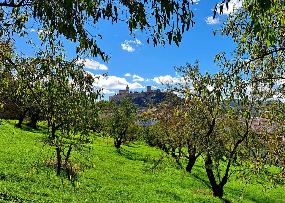 Landmark view