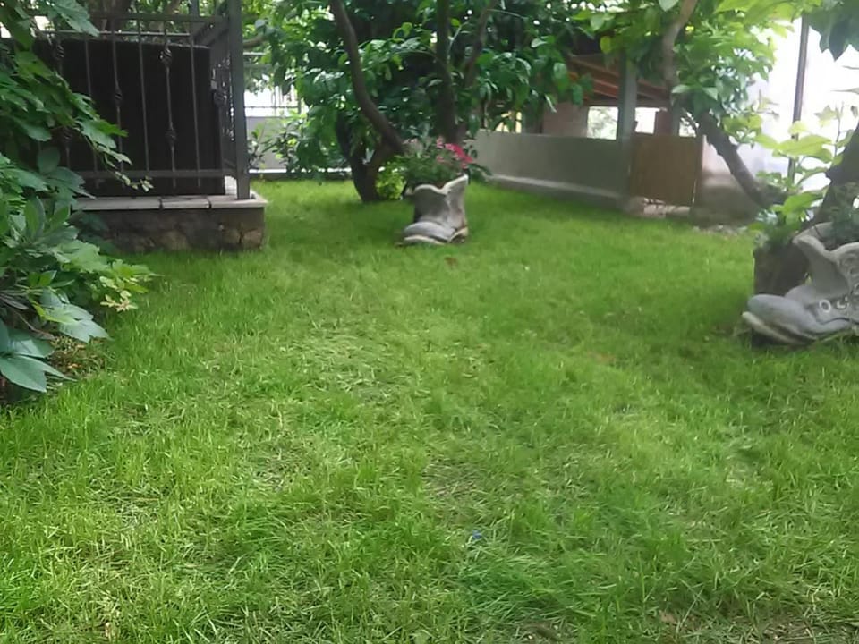 Garden, children