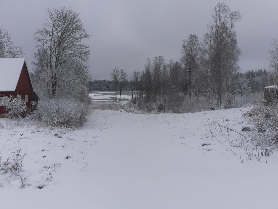 Natural landscape, Winter, Lake view, Lake view