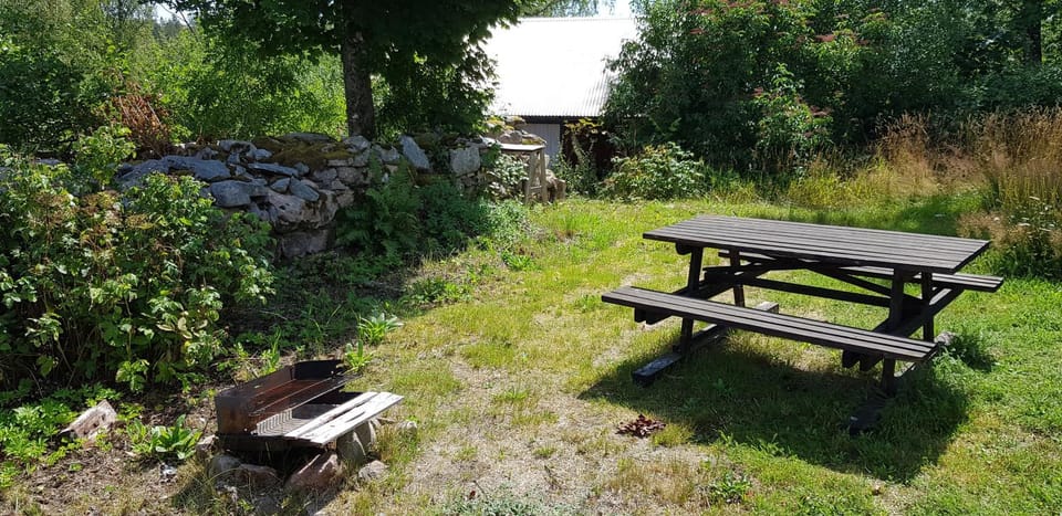 Patio, Garden