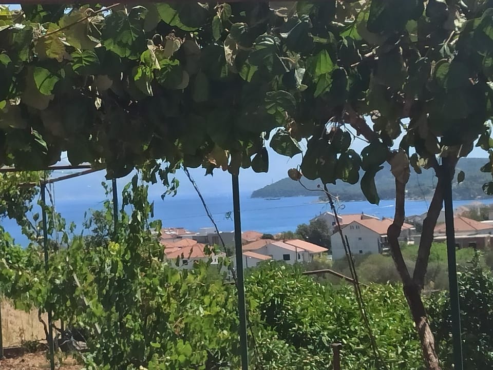 Patio, Sea view