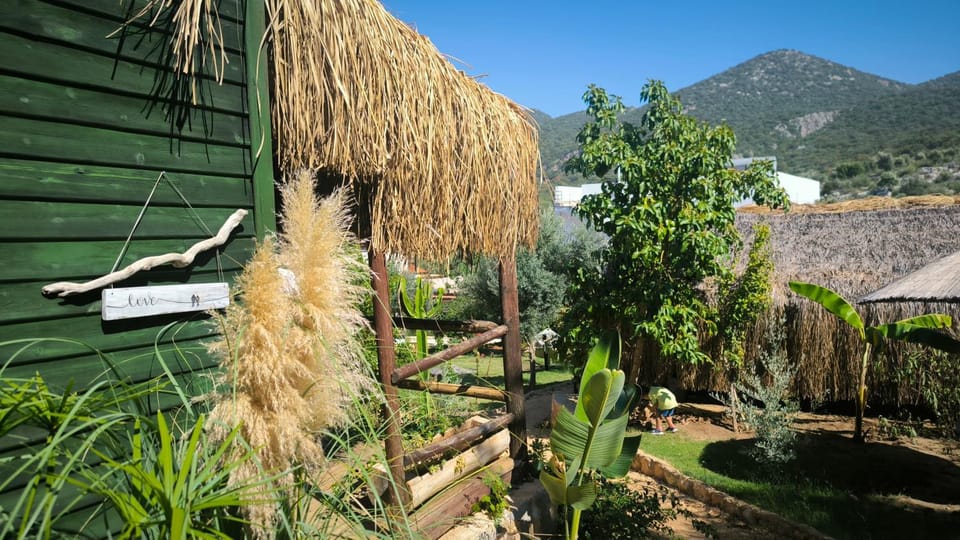 Day, Garden view