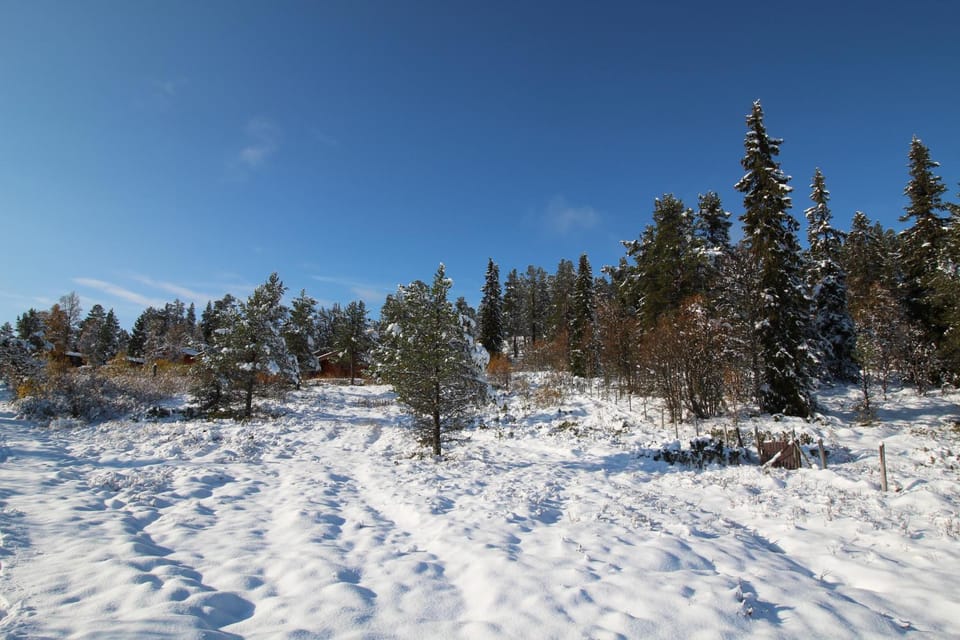Natural landscape, Winter