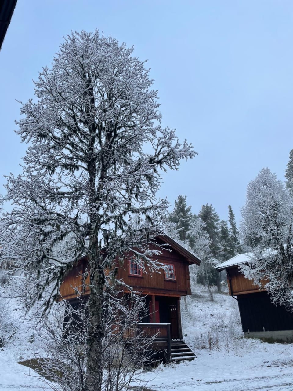 Property building, Winter