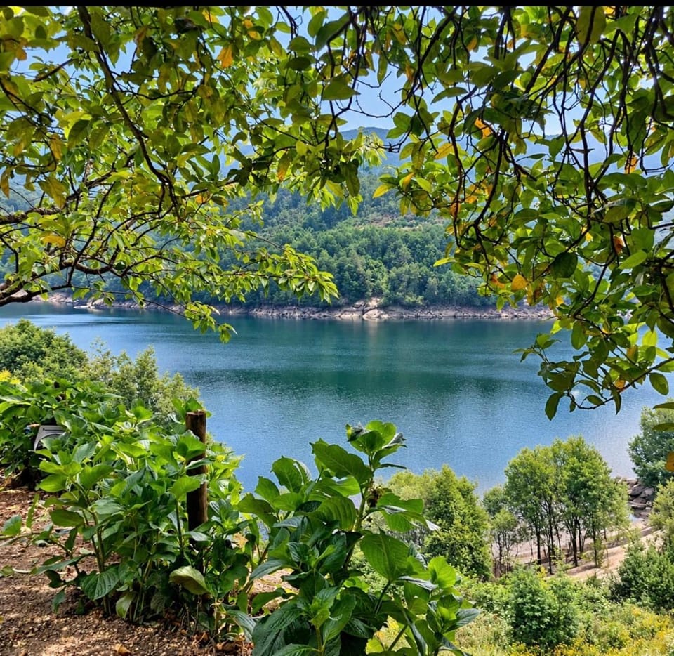 Natural landscape, Garden, Garden view, Mountain view