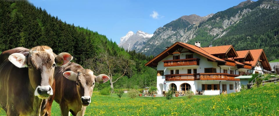 Property building, Garden, Animals