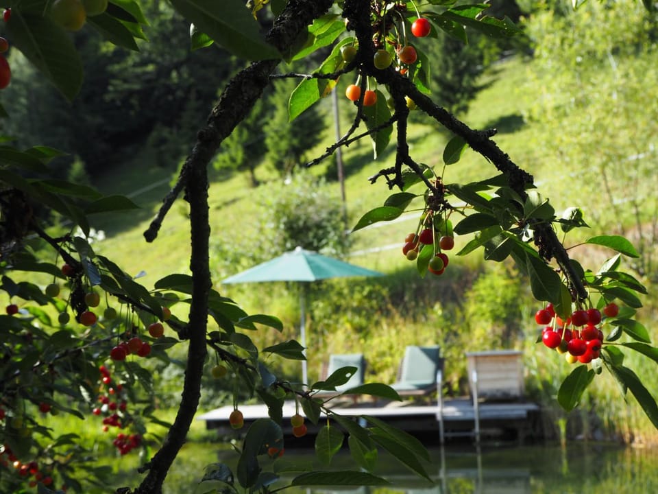 Spa and wellness centre/facilities, Open Air Bath