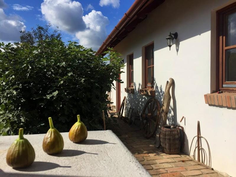 Greenhouse Villa in Hungary