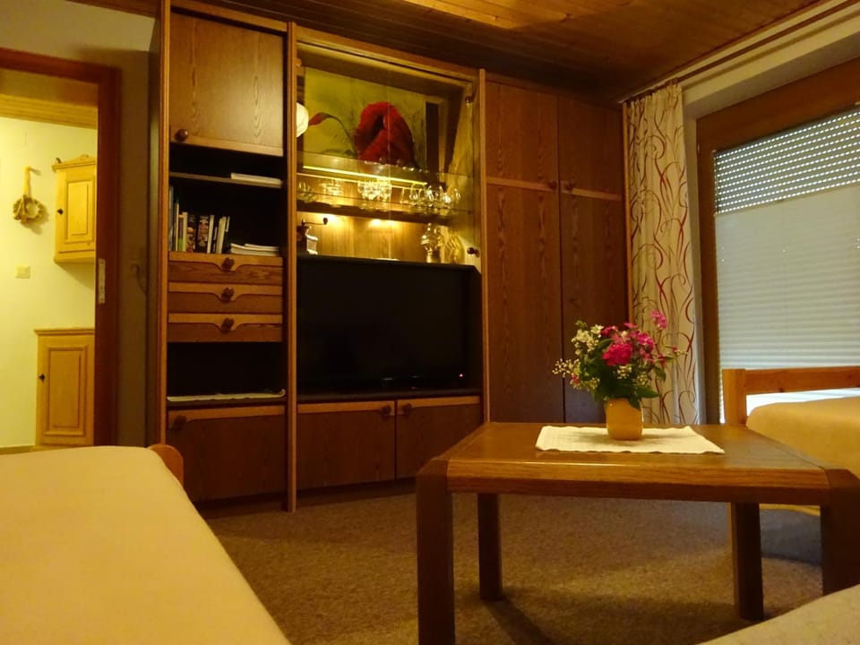 Communal lounge/ TV room, Living room