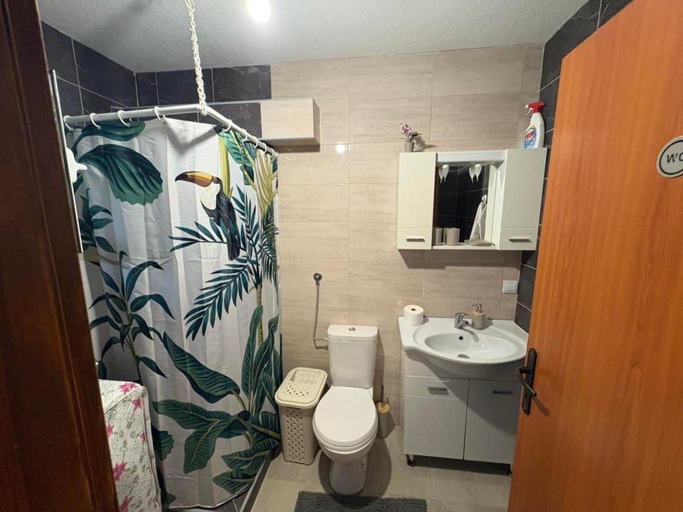 Apartman Strahinja House in Kotor Municipality
