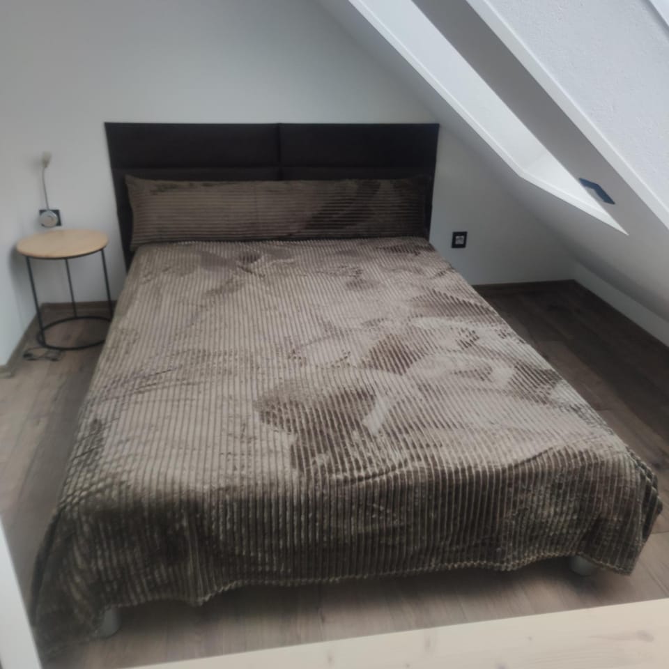 Silver House Apartment in Klaipėda County, Lithuania