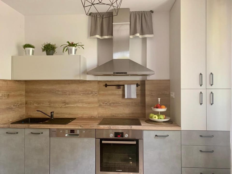 Kitchen or kitchenette, minibar, pet friendly, stove