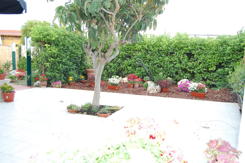 Latorraca Bed and Breakfast in Basilicata