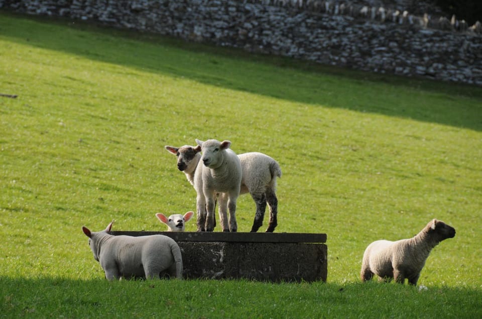 Willowherb Glamping Pod Luxury tent in Cotswold District