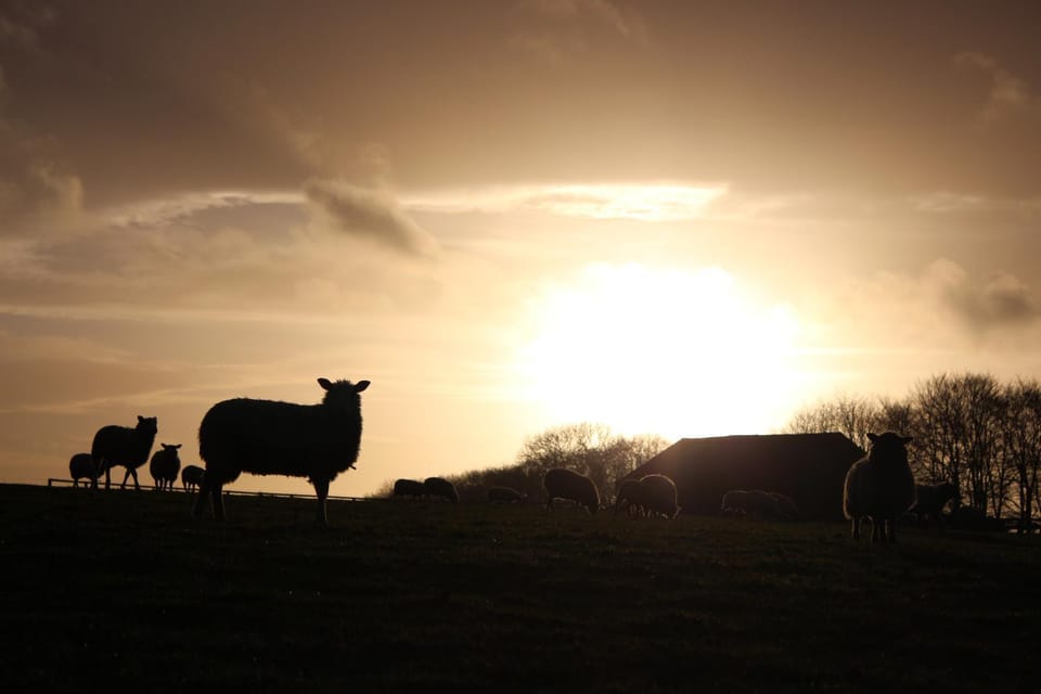 Willowherb Glamping Pod Luxury tent in Cotswold District
