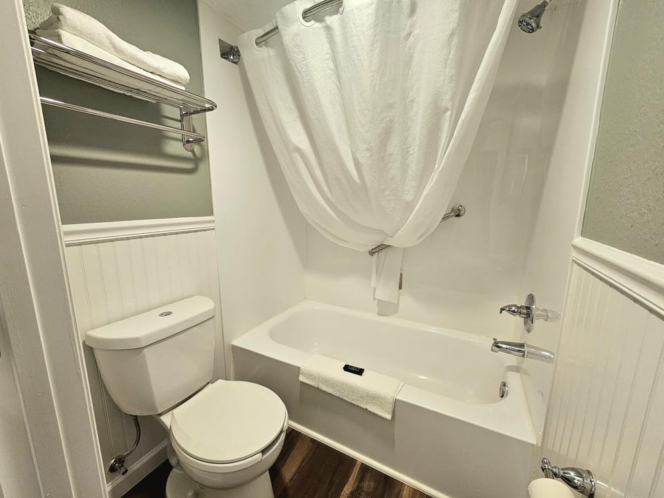 Shower, Toilet, Bathroom, Bath, towels
