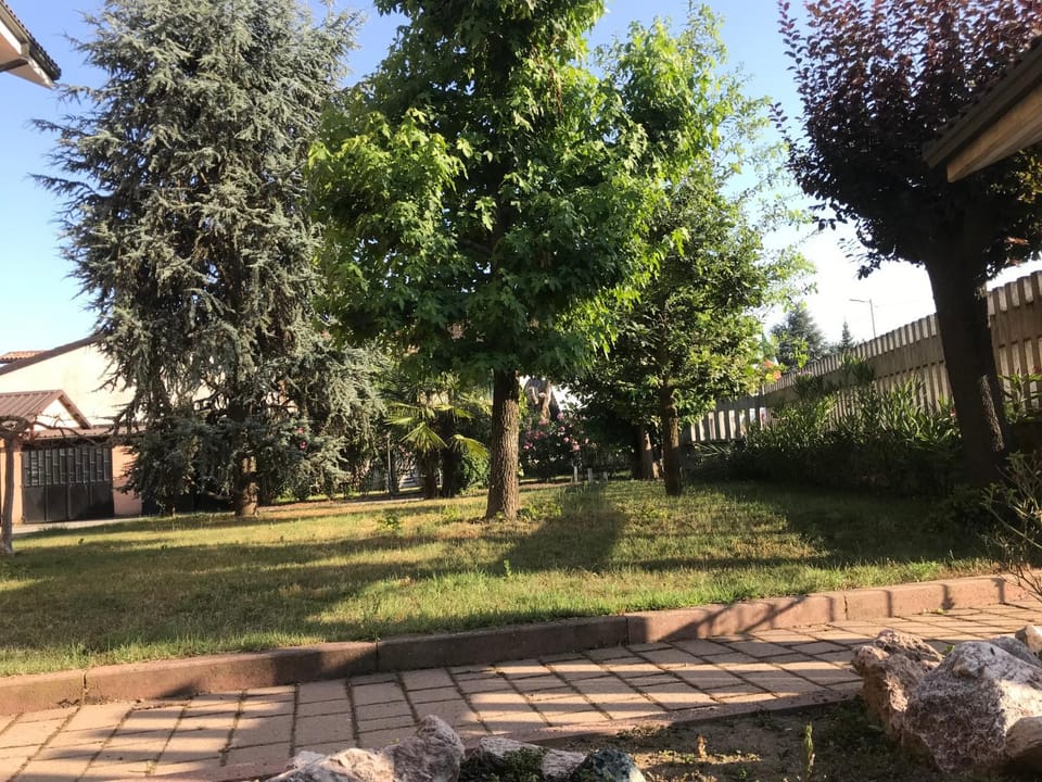Garden, Garden, Garden view