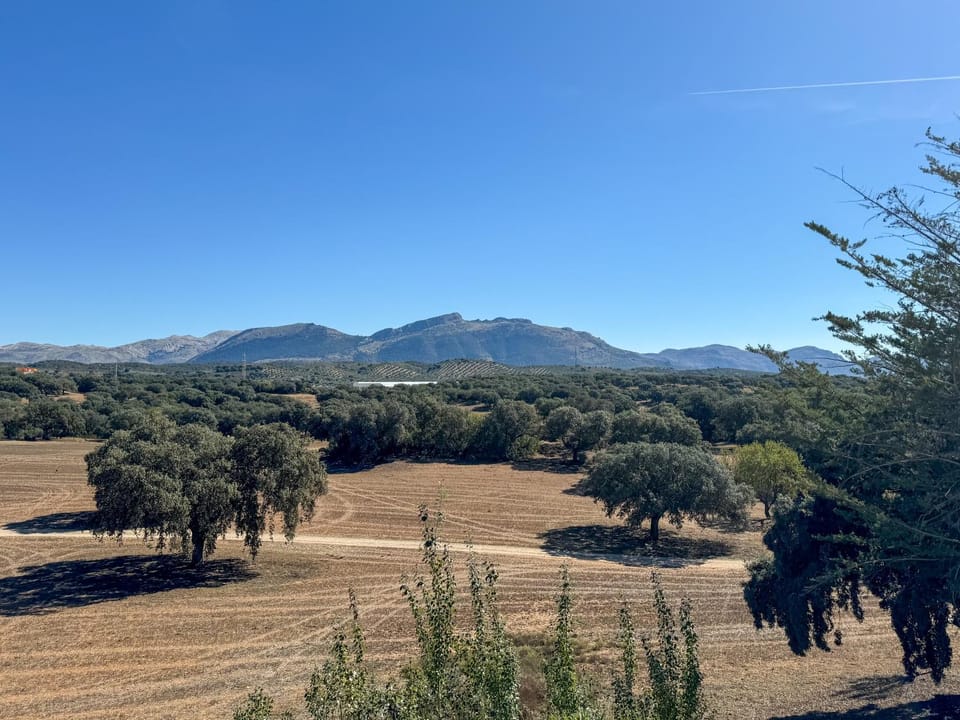 View (from property/room)