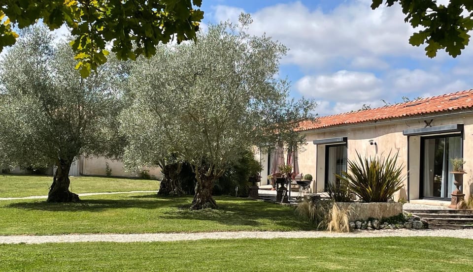 Property building, Patio, Natural landscape, Garden, Garden view