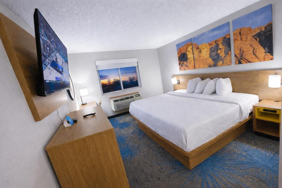 Photo of the whole room