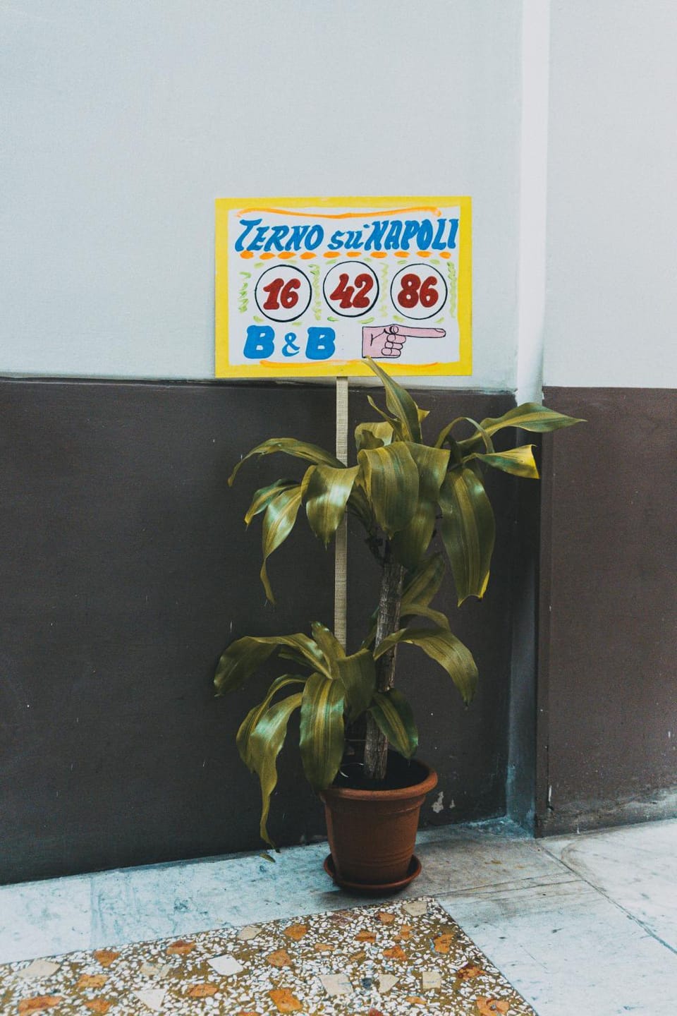 Logo/Certificate/Sign, Certificate/Award