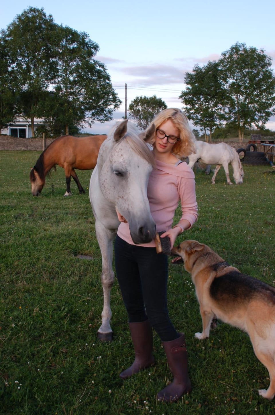 Animals, Pets