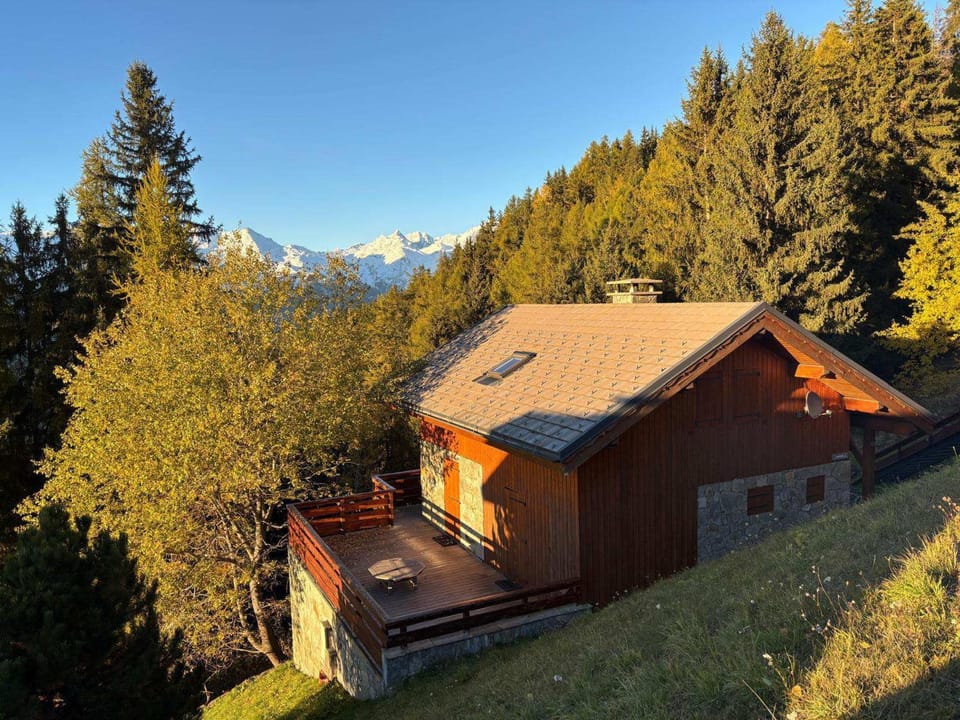 Chalet 5 pièces Vallandry, 12 pers, animaux admis, parking, WiFi - FR-1-411-545 Chalet in Landry