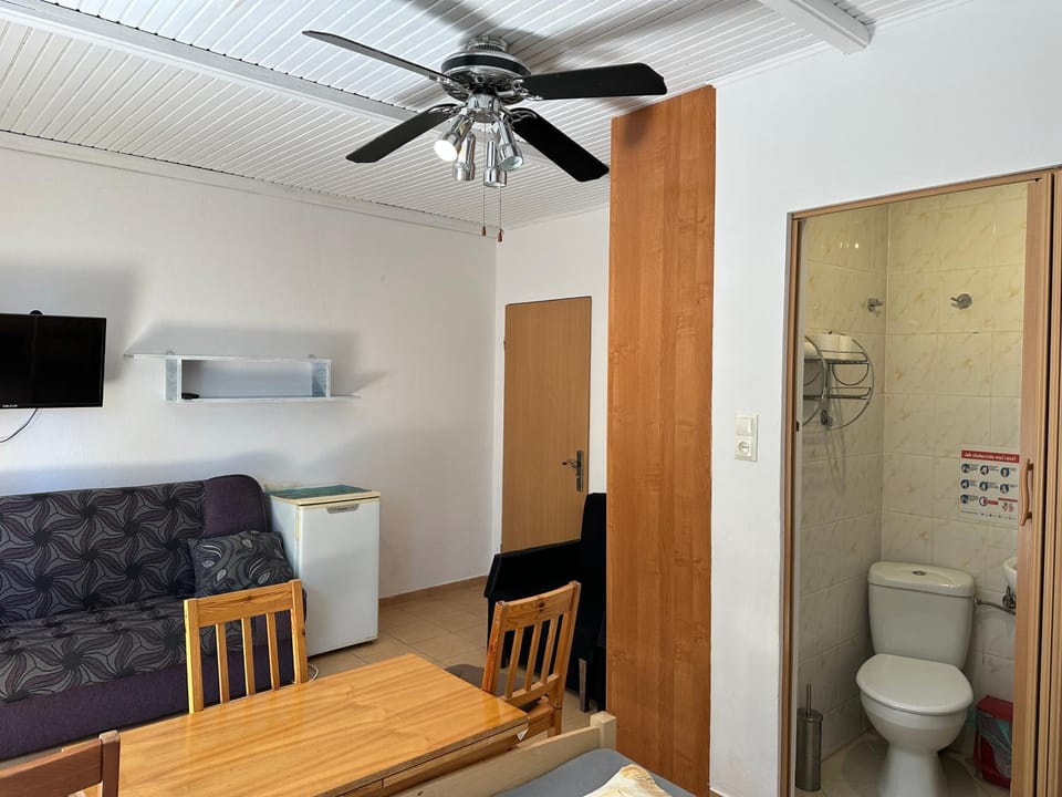 Bathroom, TV and multimedia