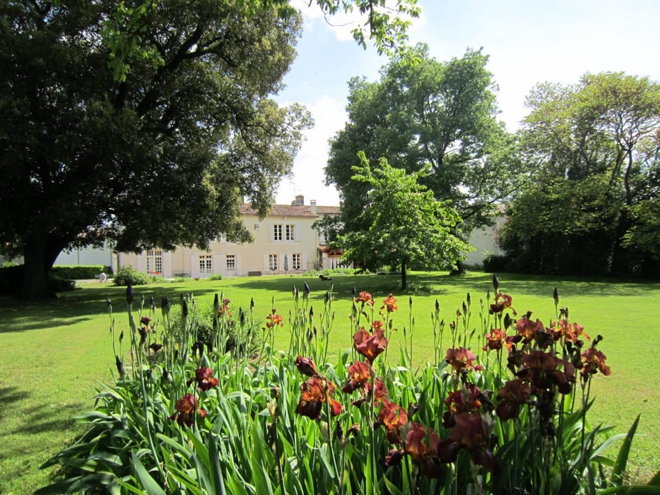 Property building, Garden, Garden