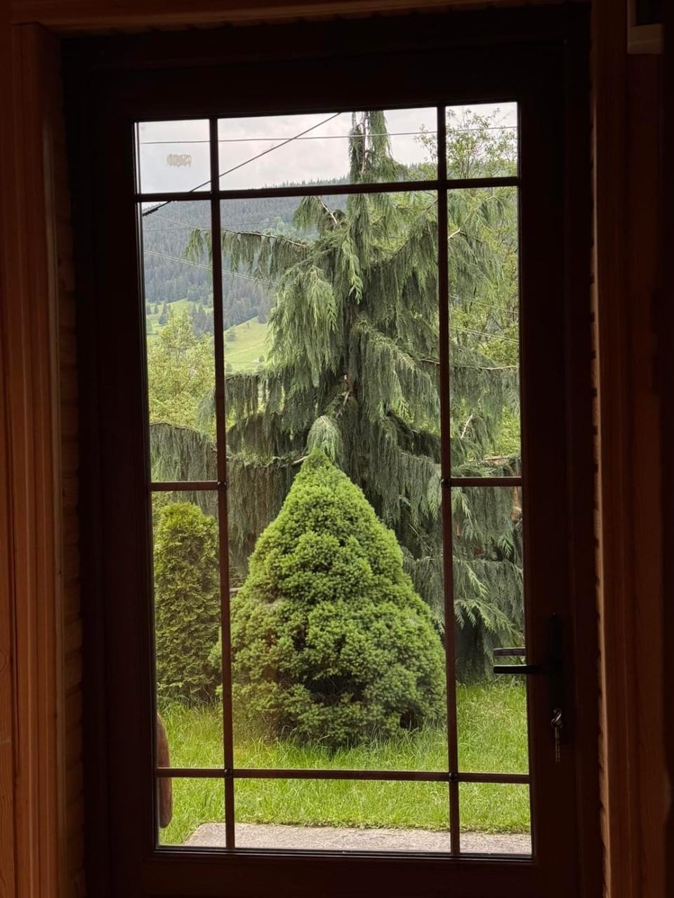 Лісова пісня Bed and Breakfast in Romania