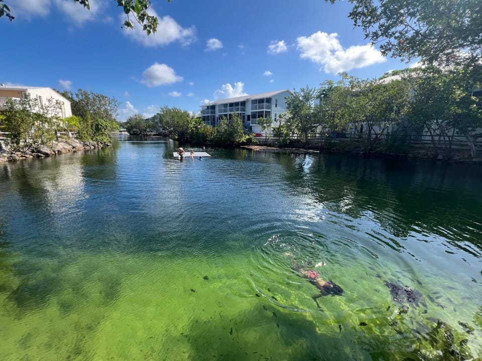 FULL TIME LIC MGR - MODERN OCEANFRONT CONDO! BEAUTIFUL OCEAN VIEWS! BEACH RESORT! 2 KING BEDs! Apartment in Key Largo