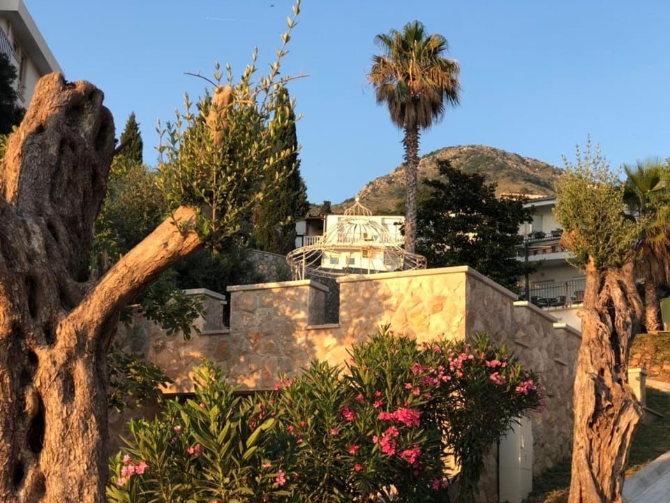 Garden, Beach, Garden view, Sea view