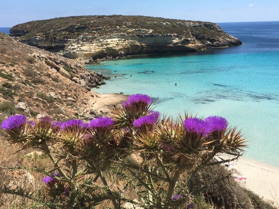 Camere a Sud - Lampedusa Apartment in Sicily