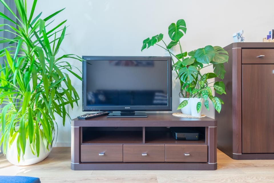 Communal lounge/ TV room, TV and multimedia, Living room, Evening entertainment