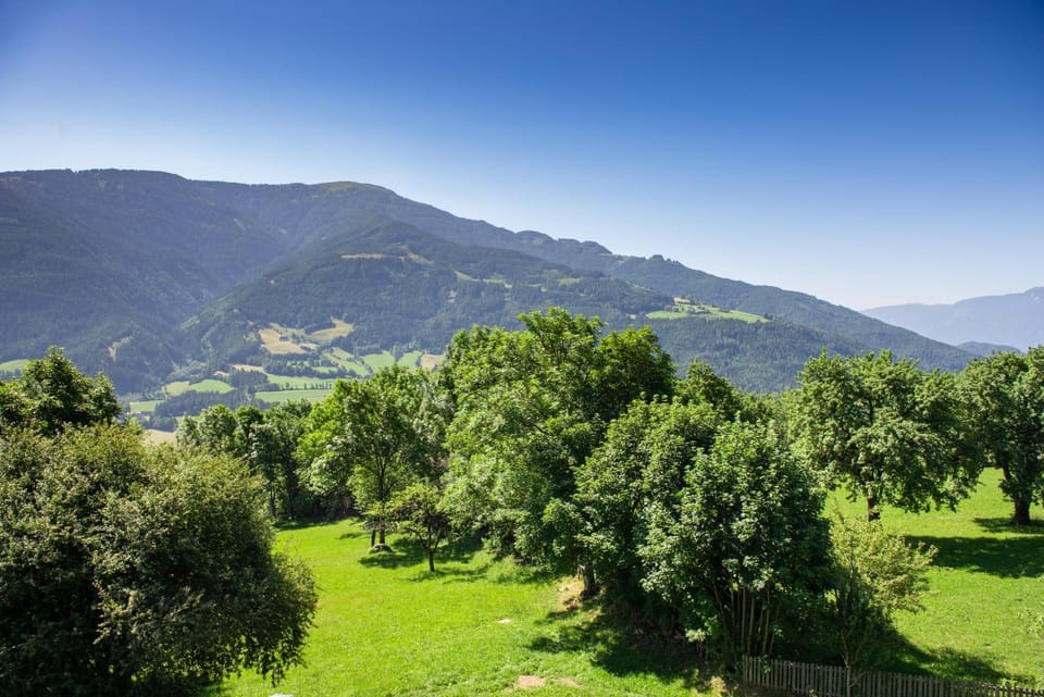 Garden, Balcony/Terrace, Garden view, Mountain view