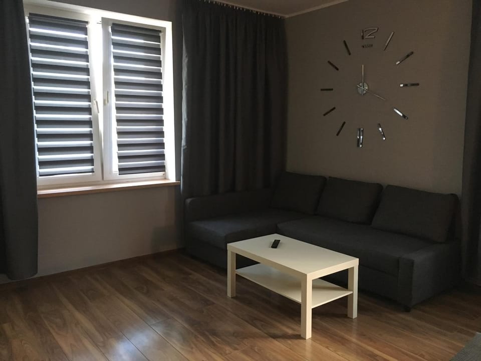 Apartament Elbląg Centrum Apartment in Pomeranian Voivodeship
