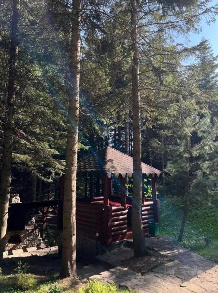 Ялинка House in Romania