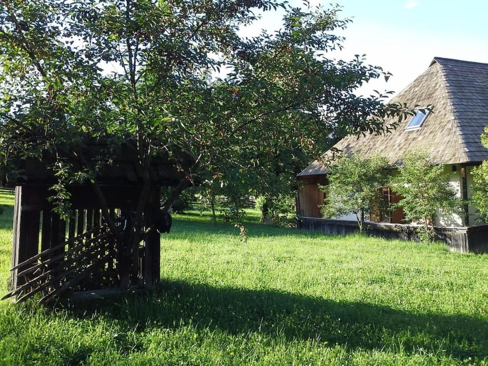 Property building, Natural landscape